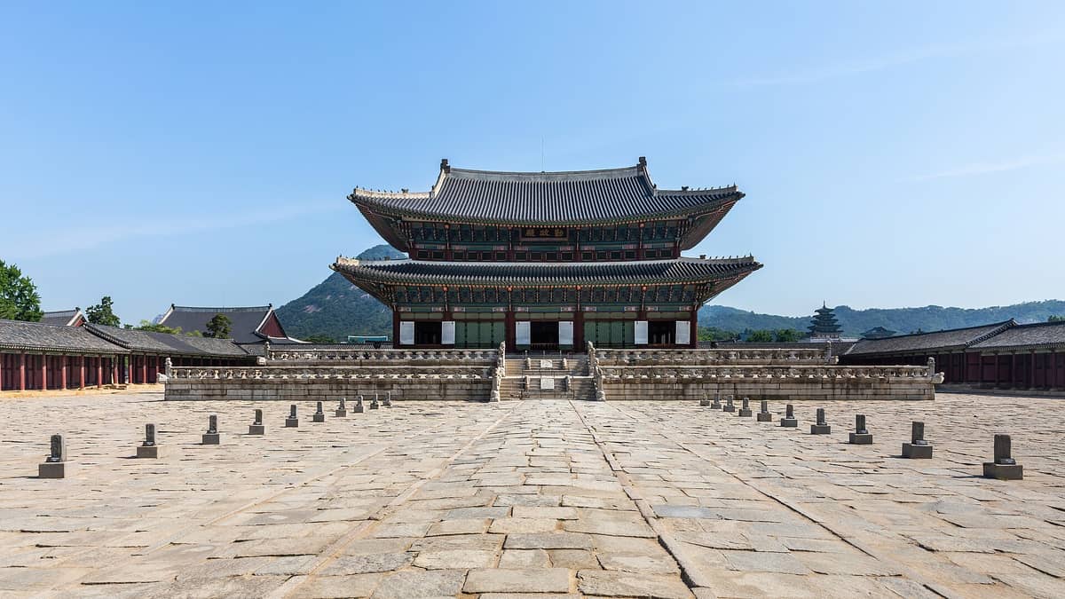Korean Cherry Blossom