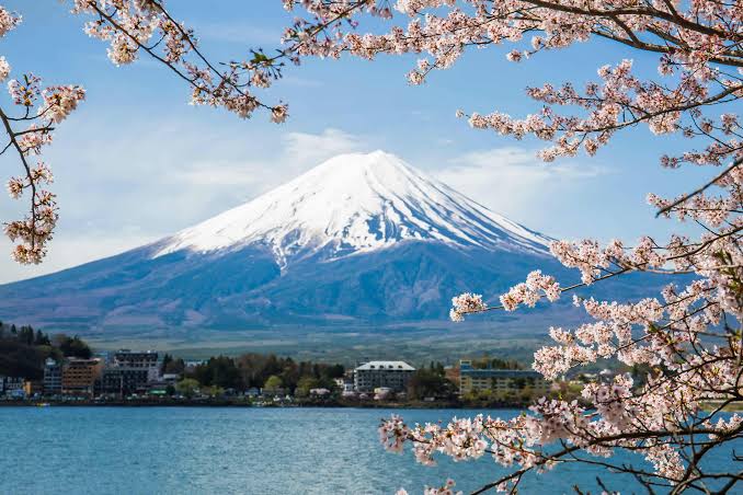 Japan Wonders, photo 6 of 6